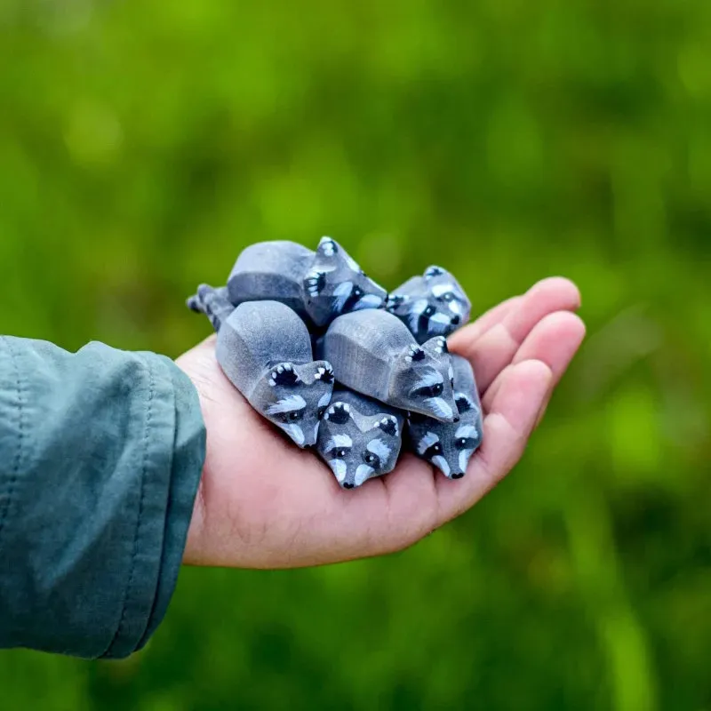Bumbu Toys | Raccoon Cub