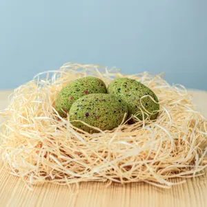 Bumbu Toys | T-Rex Eggs Set of 3