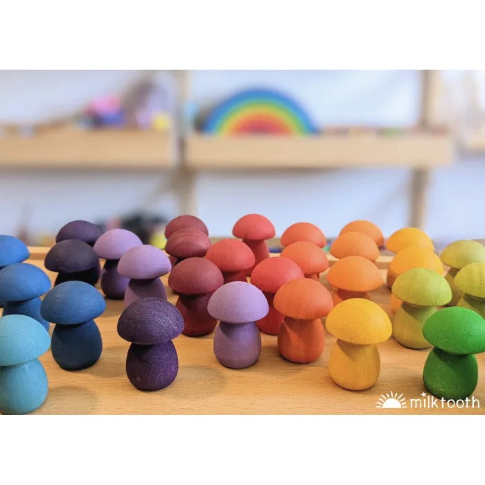 Grapat | Mandala | Little Rainbow Mushrooms 36 Pieces