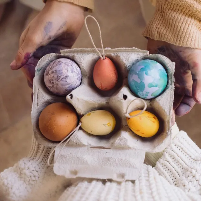Grapat | Sunrise Eggs