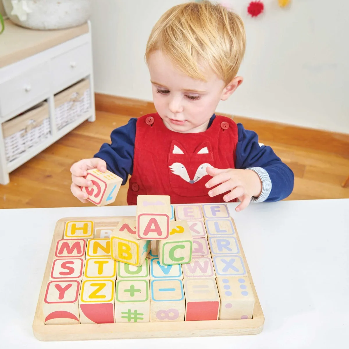 Le Toy Van ABC Wooden Blocks Wise - Kids Toys