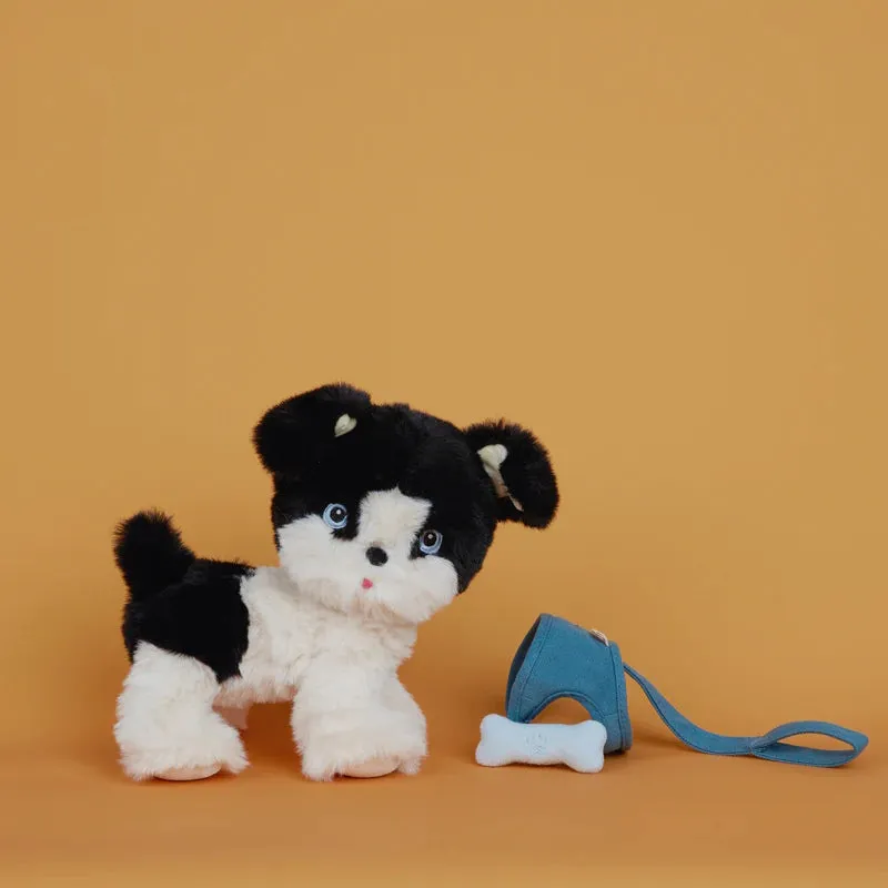 Olli Ella | Dinkum Dog Lucky