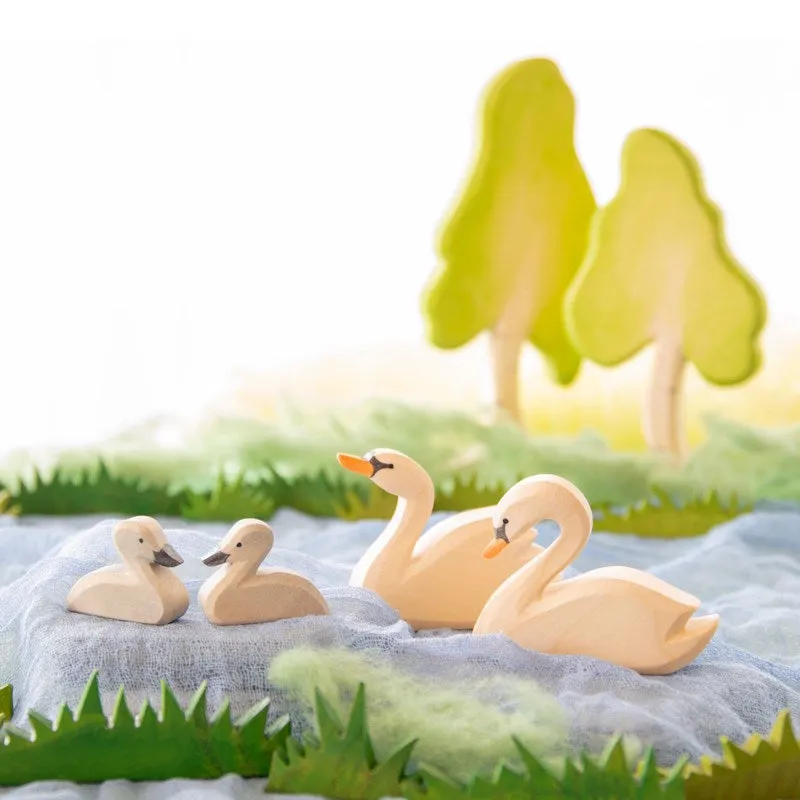 Ostheimer | Birds | Swan Head High 2025