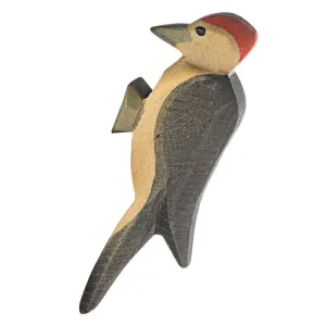 Ostheimer | Birds | Woodpecker