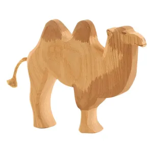 Ostheimer | Camel without Saddle
