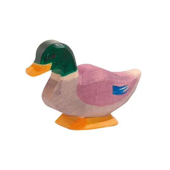 Ostheimer | Duck Male Drake