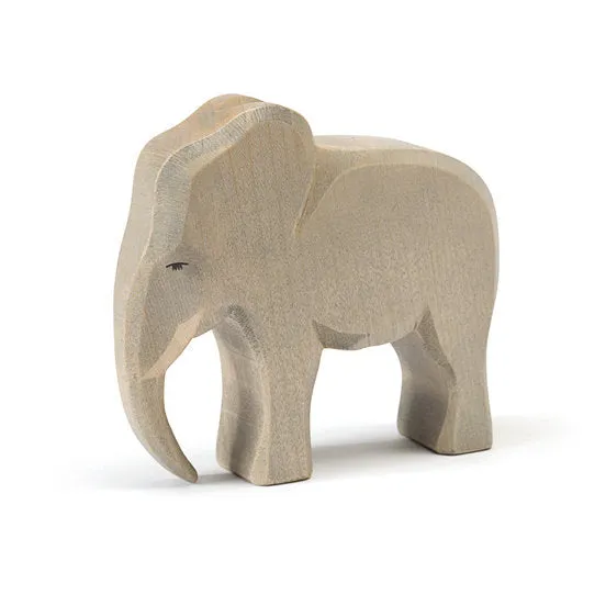 Ostheimer | Elephant | Male 2017