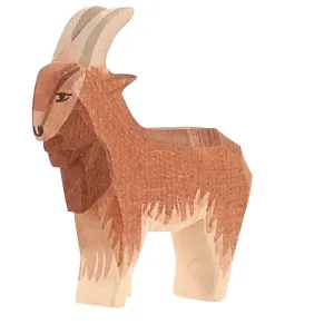 Ostheimer | Goat Male