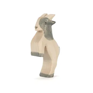 Ostheimer | Goat Small Jumping
