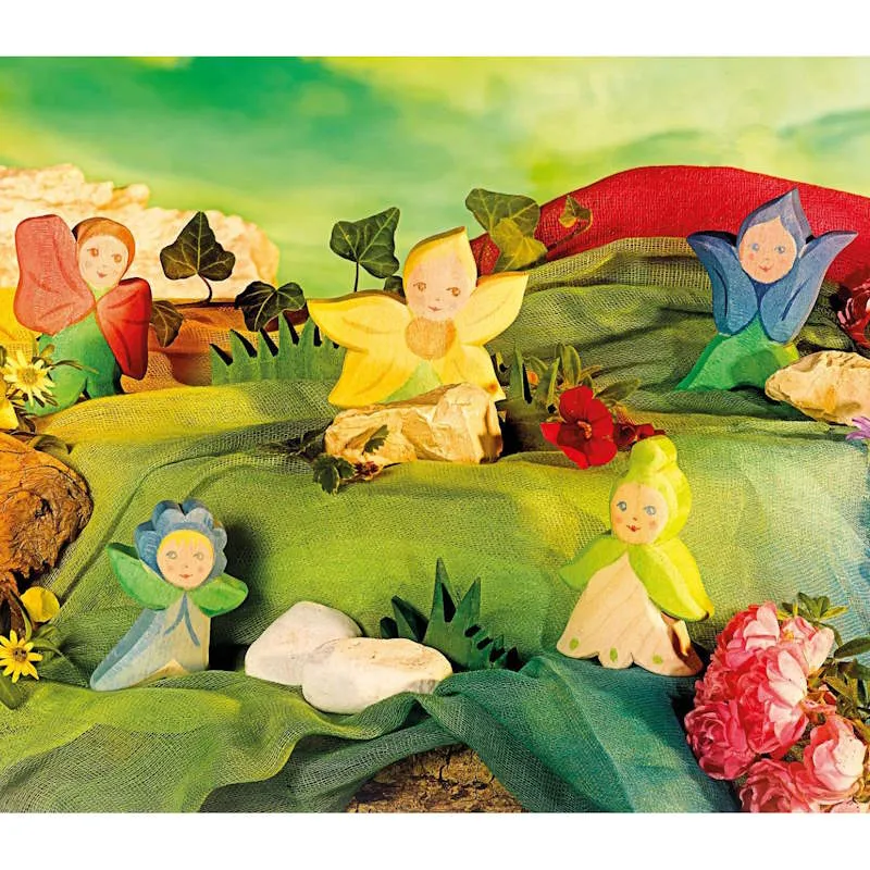 Ostheimer | People | Flower Child Forget Me Not