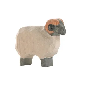 Ostheimer | Sheep | Moorland Ram