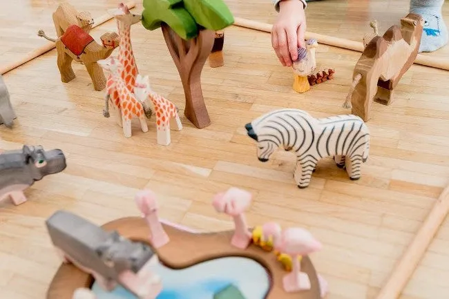 Ostheimer | Zebra