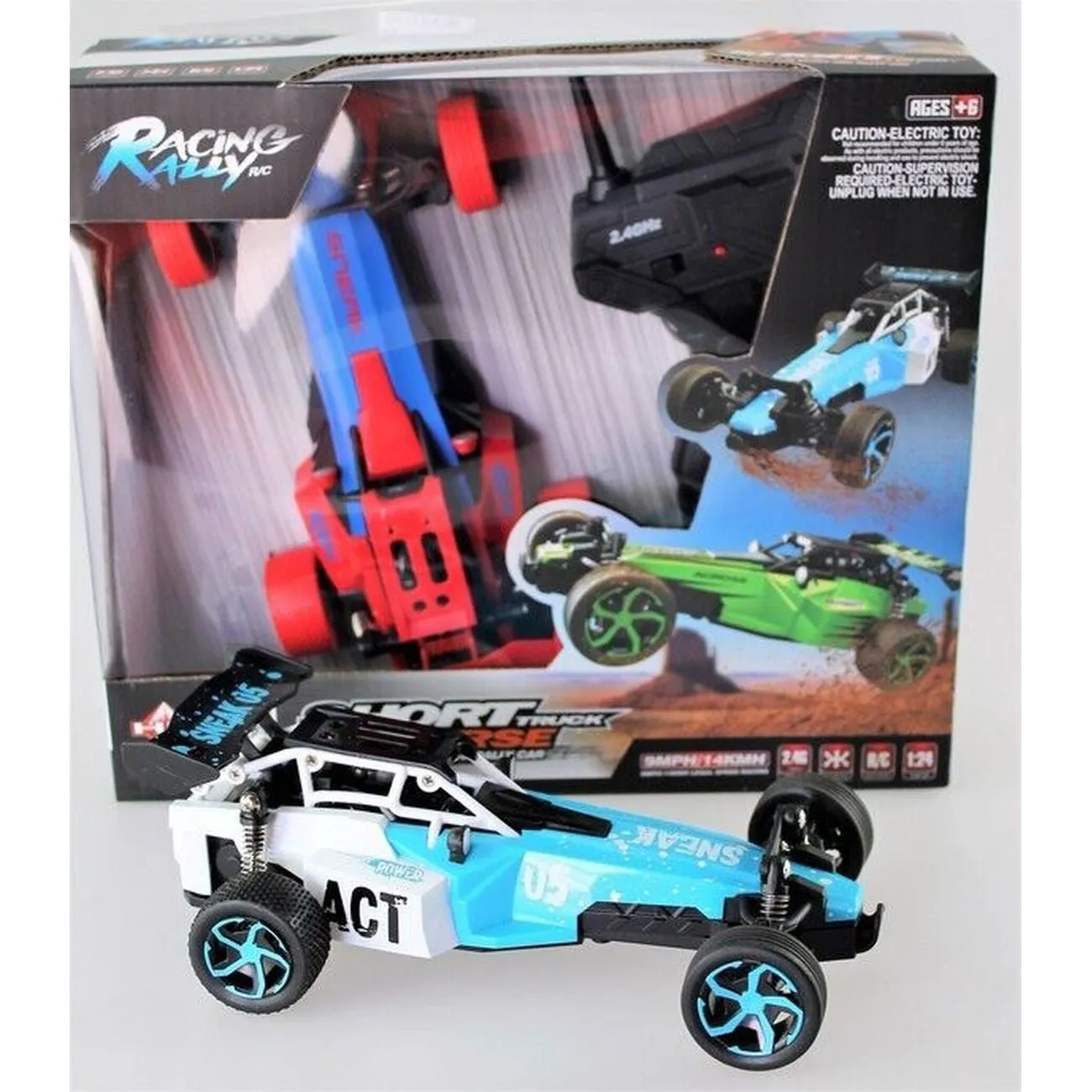 Remote Control 1:24 Sprint Racing Buggy Assorted Styles