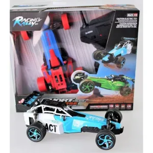Remote Control 1:24 Sprint Racing Buggy Assorted Styles