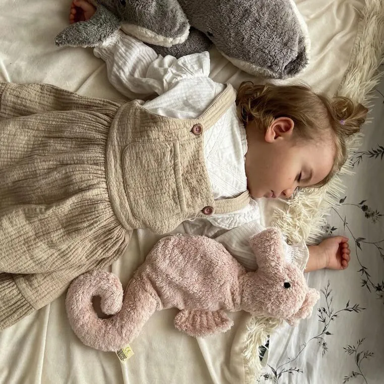 Senger | Cuddly Animal Seahorse Small w/ removable heat/cool pack