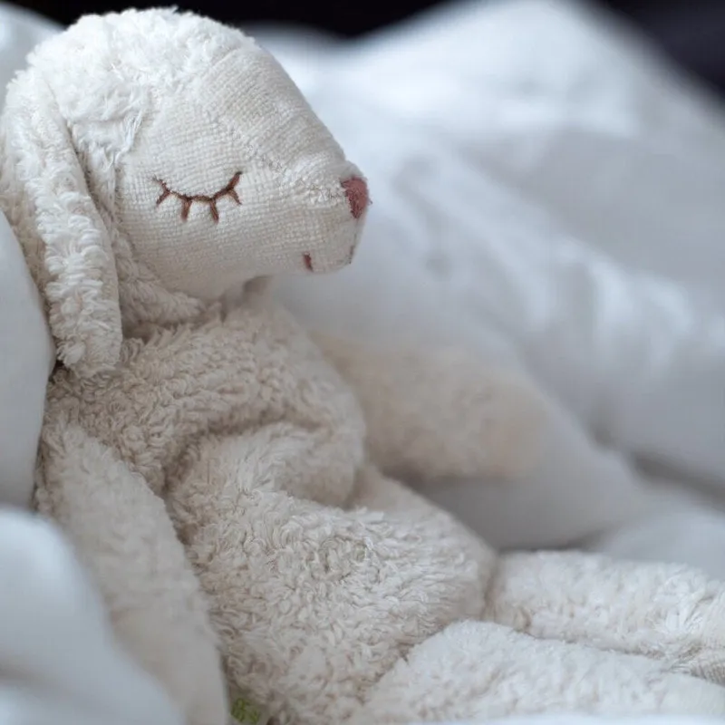Senger | Cuddly Animal Sheep Small White w/ removable heat/cool pack